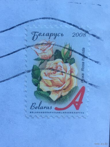 Беларусь марка с разновидностью на вырезке буква "А" красного цвета рябая вся усыпана желтыми точками  флора (Б-14)