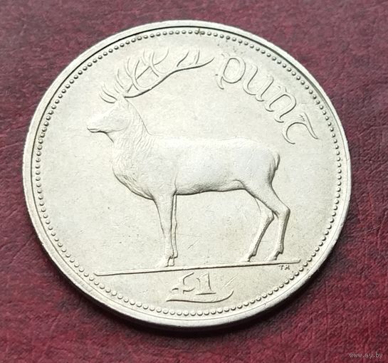 Ирландия 1 фунт, 1990-2000