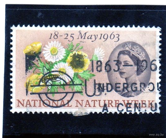 Великобритания.Ми-357. Buttercup, Common Daisy, Honey Bee (Apis sp.). Серия: Национальная неделя природы.1963.