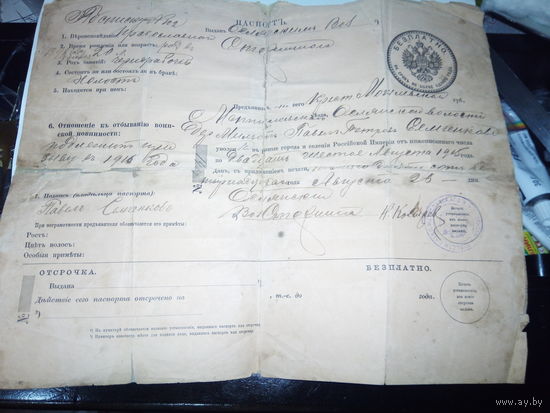 Паспорт 1915 г на год.