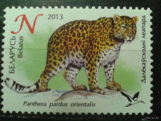 2013 Леопард