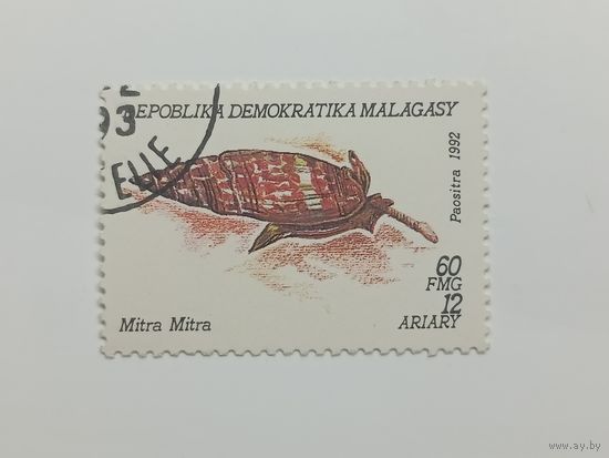Мадагаскар 1993. Моллюски