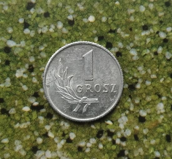 1 грош 1949 года Польша. Республика.