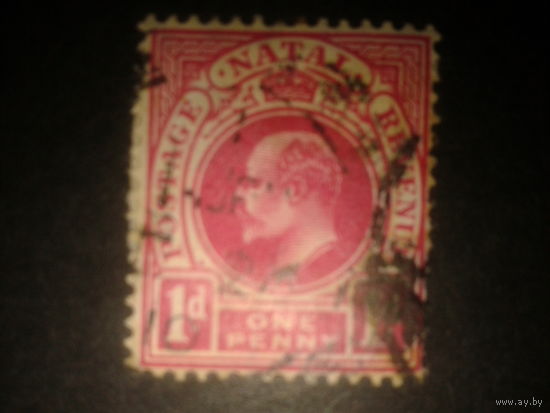 Южная Африка Наталь, колония Англии 1902 король Эдуард 7