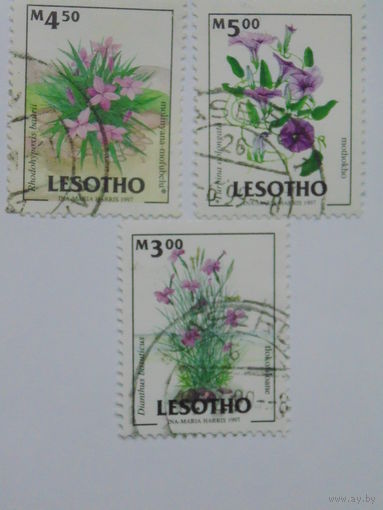 Лесото. Цветы.