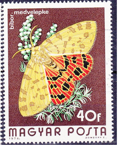 1974 Венгрия Фауна Бабочка