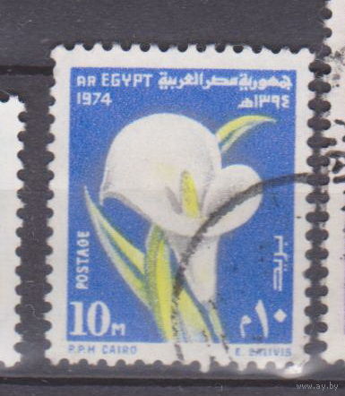 Флора цветы Фестиваль Рамадан 1974 года Египет 1974 год лот 50 ПОЛНАЯ СЕРИЯ