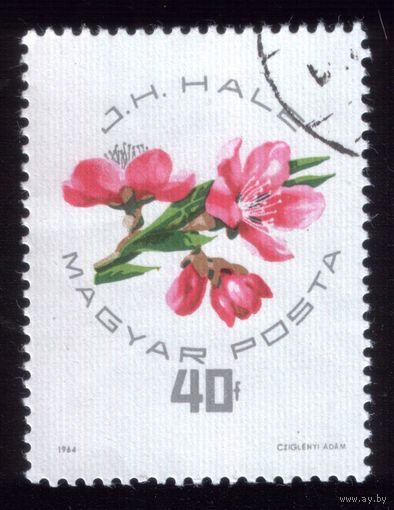 1 марка 1964 год Венгрия Цветы 2044