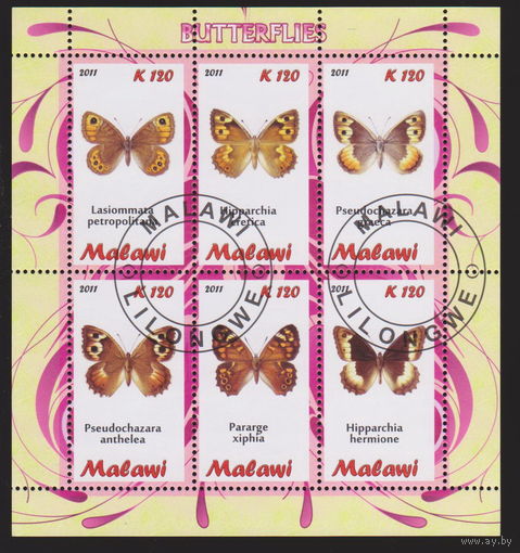 Бабочки Фауна Насекомые Малави 2011 год лот 2022 блок
