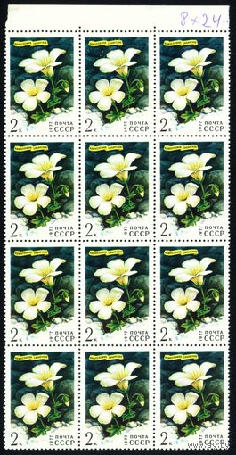 Цветы гор Сибири СССР 1977 год сцепка из 12-ти марок