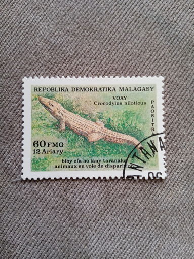 Мадагаскар 1987. Крокодил Нильский. Crocodylus niloticus