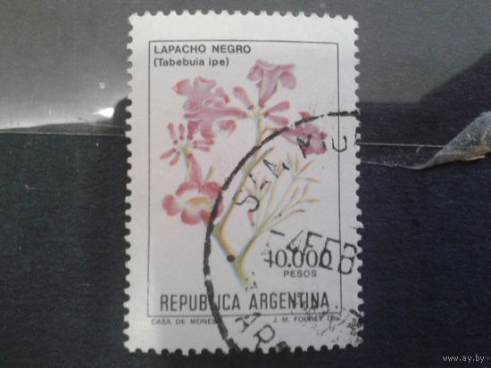 Аргентина 1982 Цветы 10 000 песо