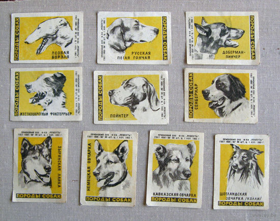 Спичечные этикетки Породы собак 17 штук 1963 Приокский СНХ