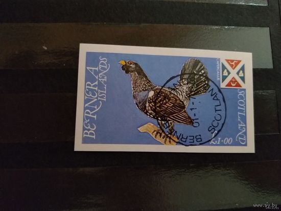 Шотландия блок фауна птицы герб (3-2)