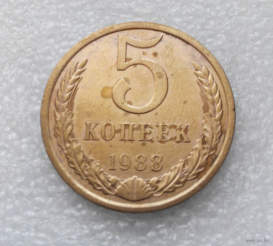 5 копеек 1988 СССР #10