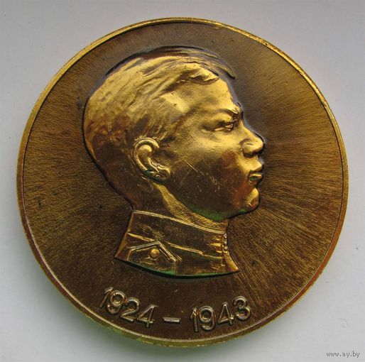 Медаль им. А. Матросова. За большую работу по военно-патриотическому воспитанию