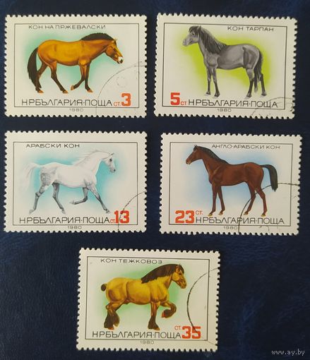 Болгария 1980 лошади .