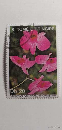Сан Томе и Принсипи 1989. Орхидеи