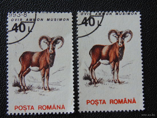 Румыния 1993 г. Фауна. Одна марка.