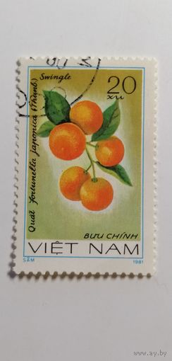 Вьетнам 1981. Фрукты