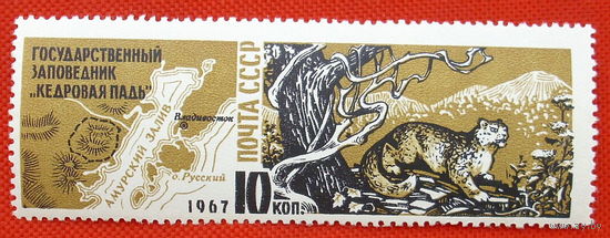 СССР. Заповедник "Кедровая падь". ( 1 марка ) 1967 года.