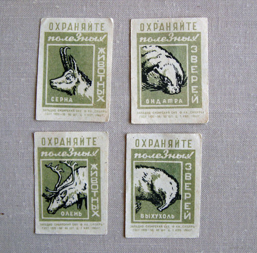Спичечные этикетки Охраняйте полезных животных зверей 4 штуки 1964 Западно-Сибирский СНХ Серые