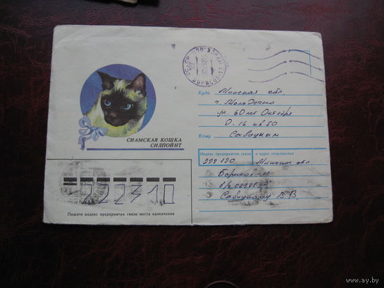 Конверт СССР Сиамская кошка Силпойнт 1990 год, штамп Молодечно, Борисов