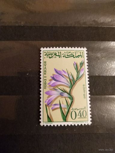 1965 Королевство Марокко флора цветы гладиолусы чистая клей след от наклейки (2-10)