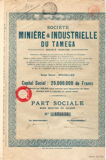 Miniere et Industrielle du Tamega (минералы и добыча в Тамеге), оловянные рудники в Португалии, Брюссель, Бельгия, 1925 г.