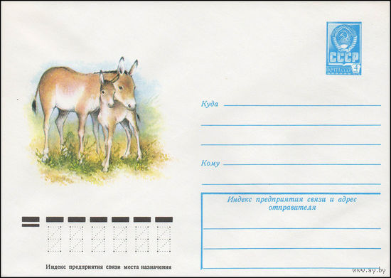 Художественный маркированный конверт СССР N 12826 (12.05.1978) [Кулан]