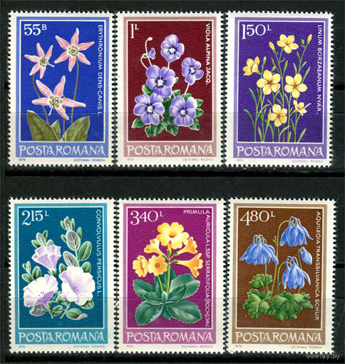 Румыния - 1979г. - Цветы - полная серия, MNH [Mi 3581-3586] - 6 марок