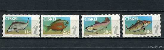Сискей (Южная Африка) - 1985 - Рыбки - [Mi. 70-73] - полная серия - 4 марки. MNH.  (LOT DA49)