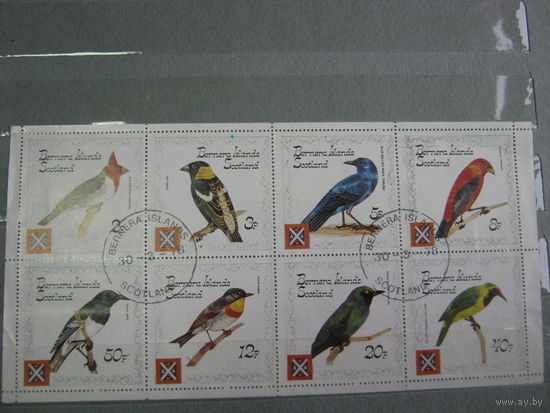 Марки - фауна, Шотландия, острова Бернерей, птицы