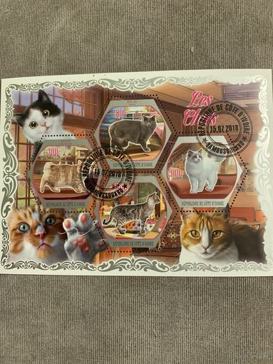 Кот Ди Вуар 2018. Домашние кошки. Малый лист