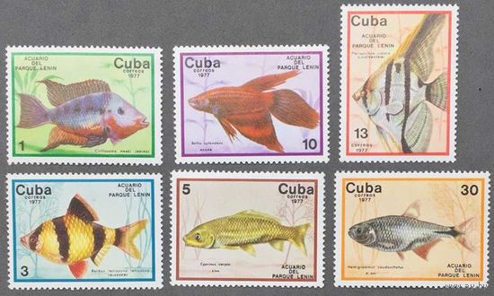Куба 1977г Рыбы