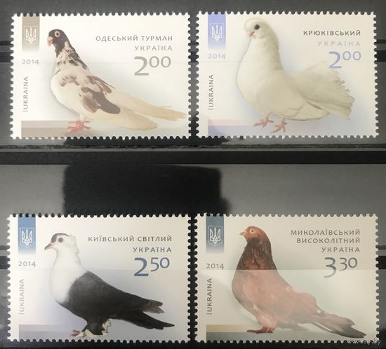 2014 Породы голубей