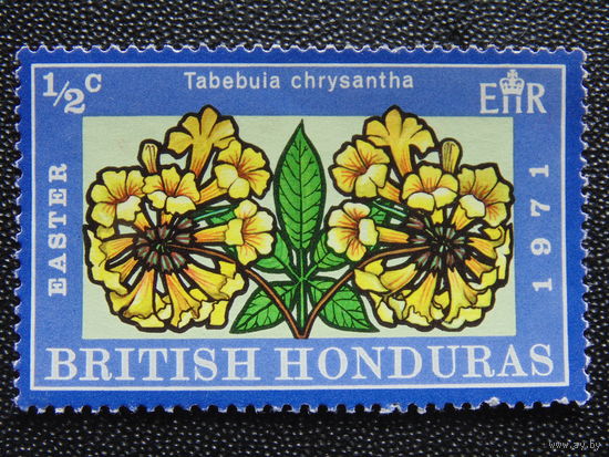 Британский Гондурас. 1971 г. Флора.