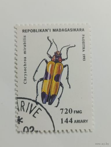 Мадагаскар 1994. Жуки