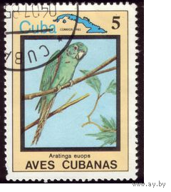 1983 год Куба Птицы попугай фауна
