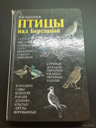 И.И. Бышнёв. Птицы над Березиной.