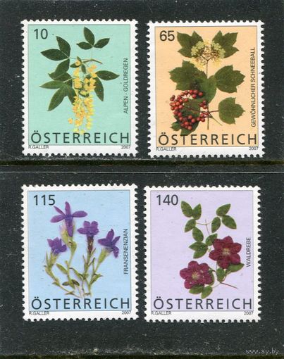 Австрия Флора. Цветы
