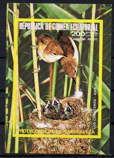 Фауна Птицы Экваториальная Гвинея  1976 год 1 чистый блок