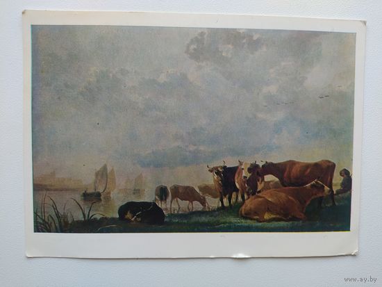 Открытка Альберт Кейп Коровы на водопое 1974 год