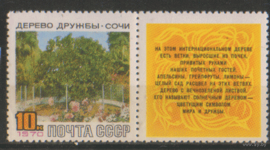 З. 3789. 1970. Дерево дружбы в Сочи. чист.