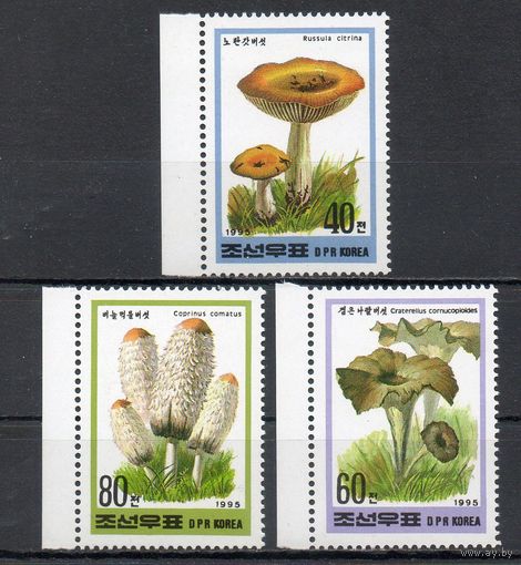 Грибы КНДР 1995 год серия из 3-х марок