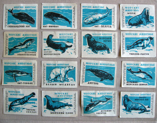 Спичечные этикетки Морские животные Набор 18 штук Злынка 1966