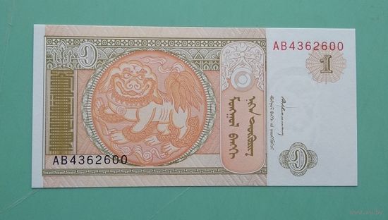 Банкнота 1 тугрик Монголия 1993 г.