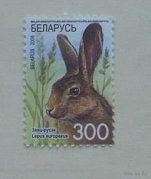Беларусь. Стандарт. ( 1 марка ) 2008 года. 2-5.