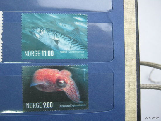 Марки - фауна, рыбы, осьминог, Норвегия