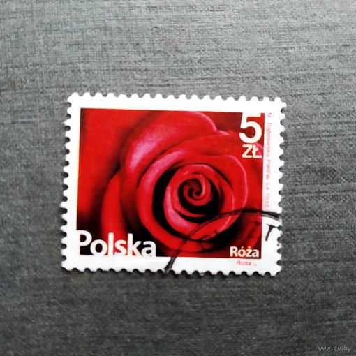Марка Польша 2015 год  Цветы